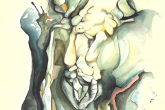 Nathaniel (20 weeks)