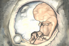 Image Bearer (9 weeks)